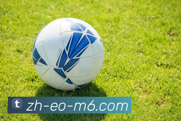 M24体育投注平台APP 体育赛事宣传图